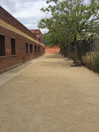 suelo exterior de escuela