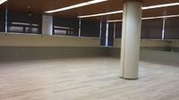pavimento en parquet